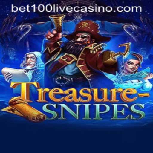 Exploring the Exciting World of TreasureSnipes